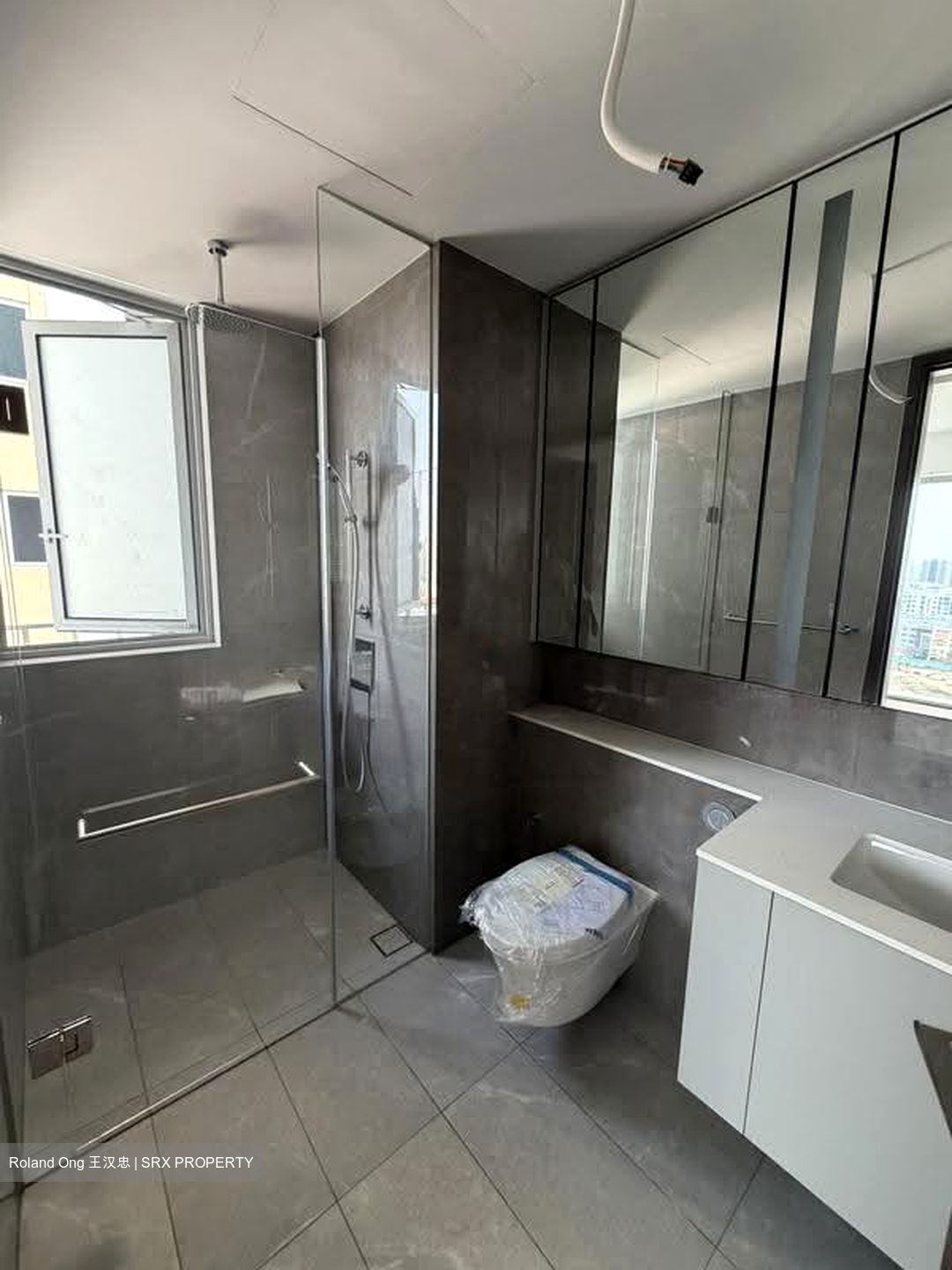 Grand Dunman (D15), Apartment #620917781